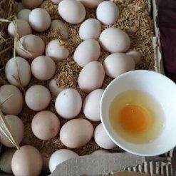 Trứng gà VietGap Hùng Sơn (1)